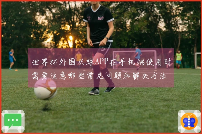 世界杯外围买球APP在手机端使用时需要注意哪些常见问题和解决方法