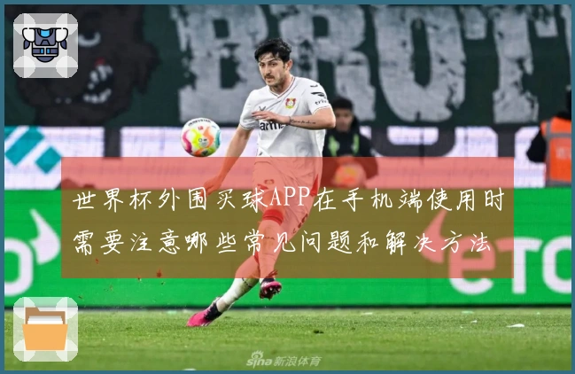 世界杯外围买球APP在手机端使用时需要注意哪些常见问题和解决方法