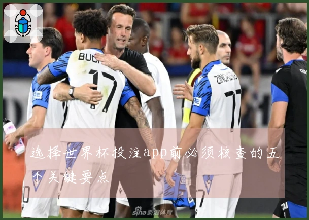 选择世界杯投注app前必须核查的五个关键要点